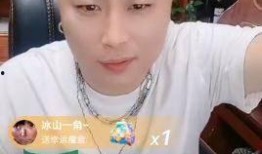 方丈爆料辛巴道貌岸然视频,方丈爆料揭露惊人内幕