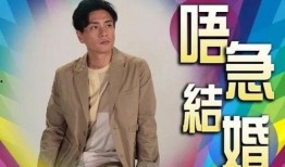 黄宗泽最新新闻爆料,揭秘娱乐圈背后惊人真相