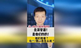 专访北溪爆料者视频,独家专访爆料者深度解析